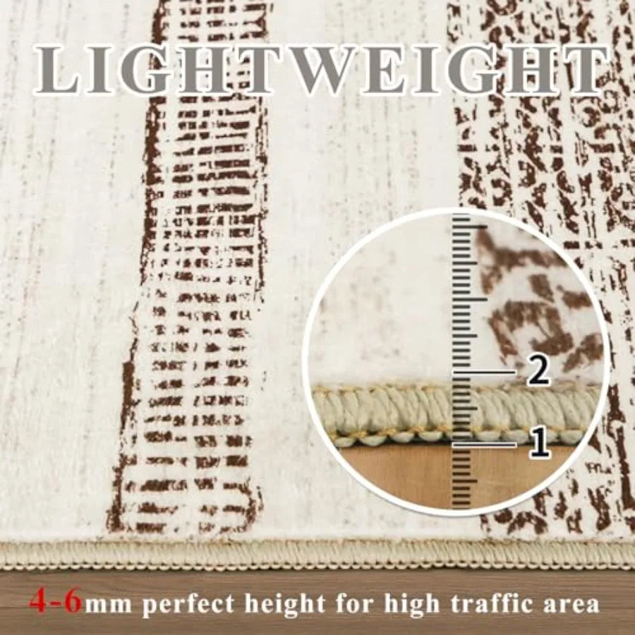 Farmhouse Area Rugs for Living Room