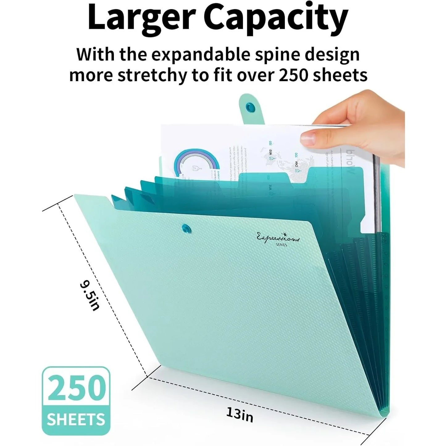 Expandable File Folder, Letter Size Organ