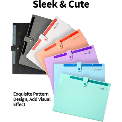 Expandable File Folder, Letter Size Organ