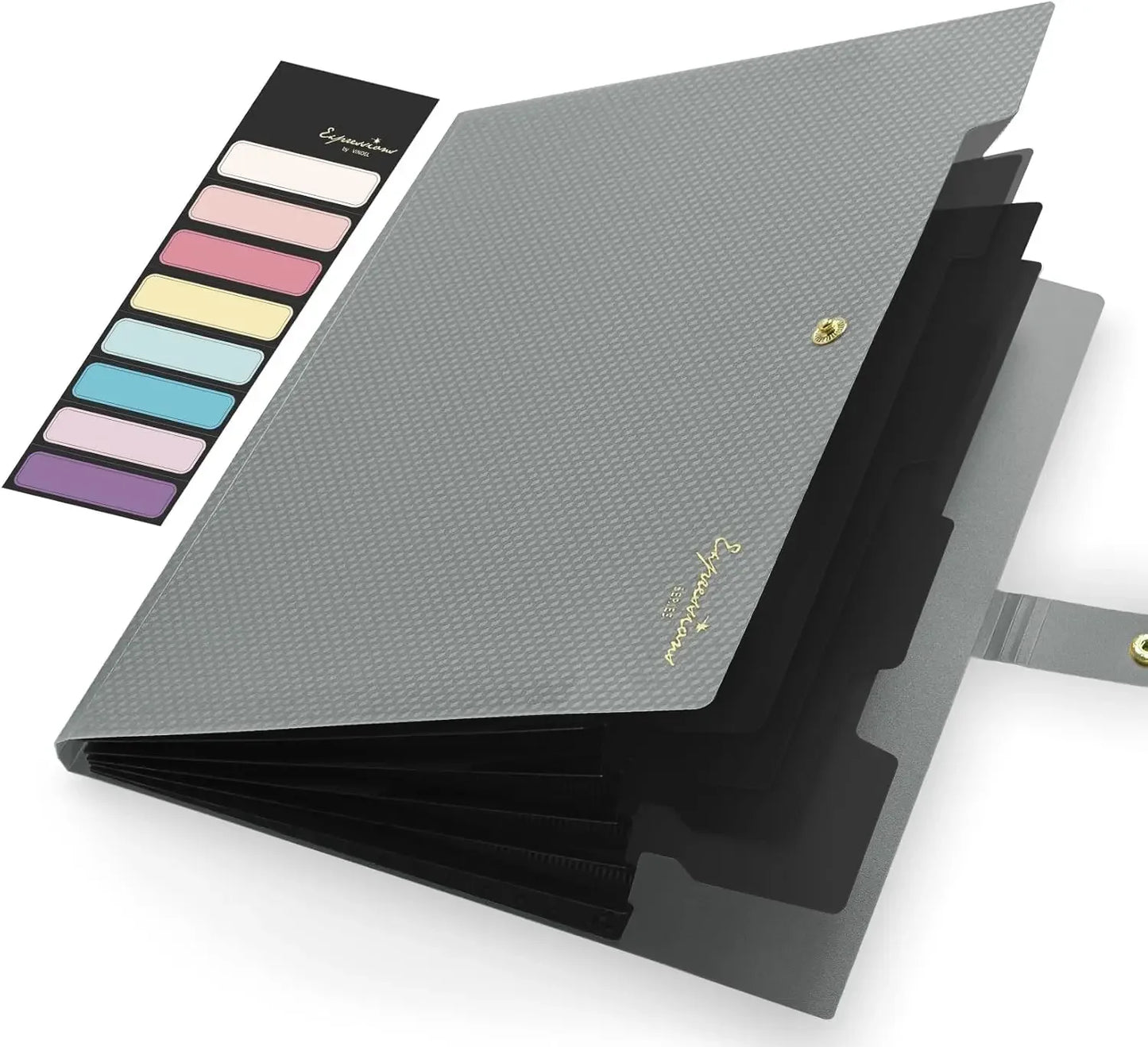 Expandable File Folder, Letter Size Organ