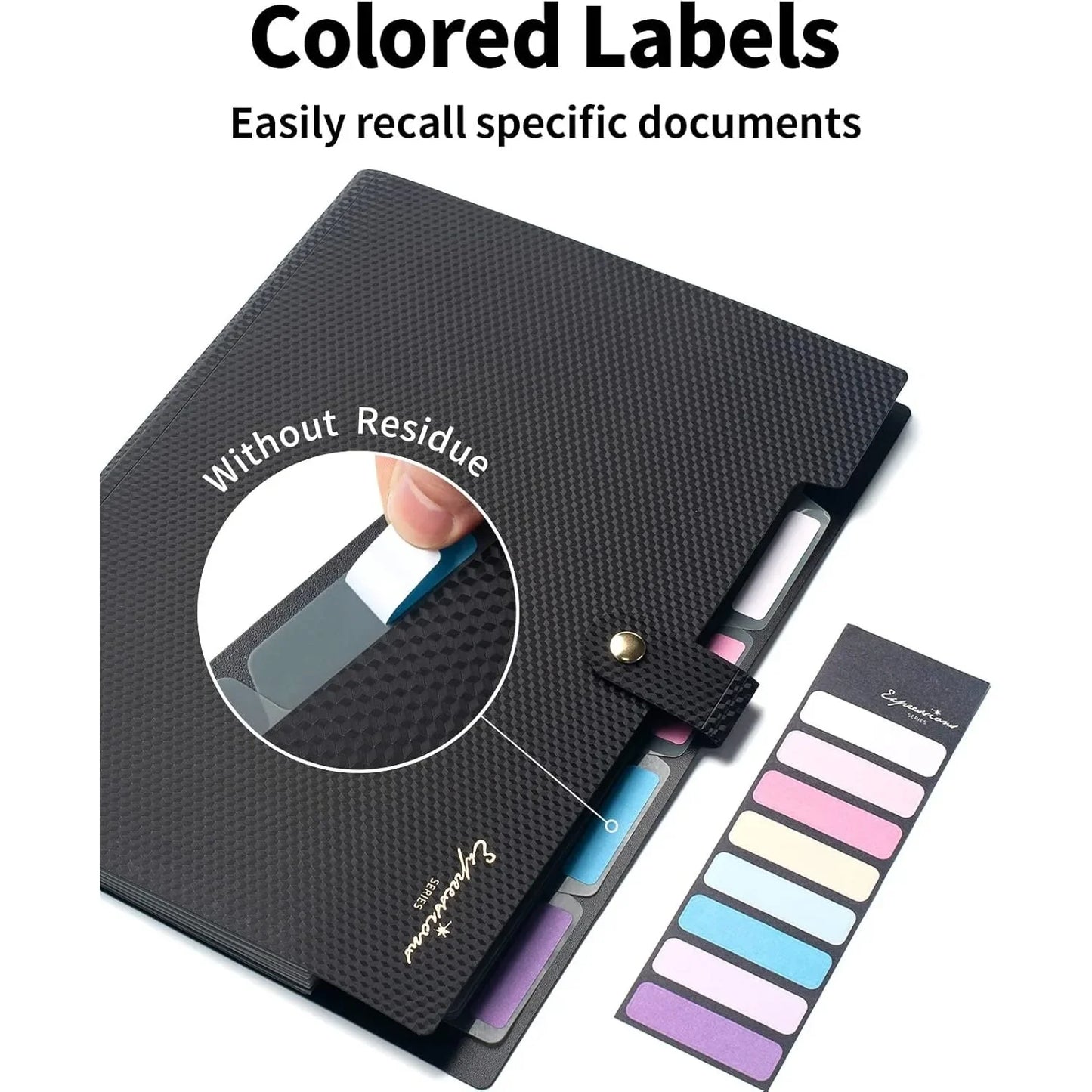 Expandable File Folder, Letter Size Organ